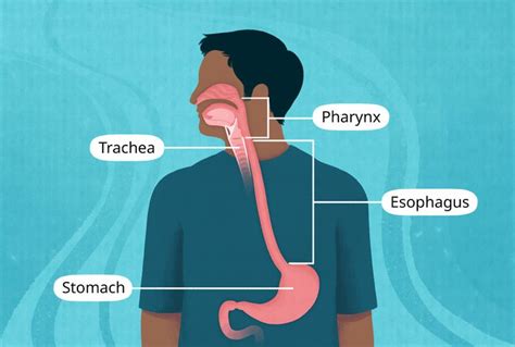 喉に食べ物が引っかかった 対処法 大人 ～そして宇宙の果てまで～